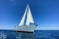 Looking-up-at-Sea-Dragon-Mid-Sail